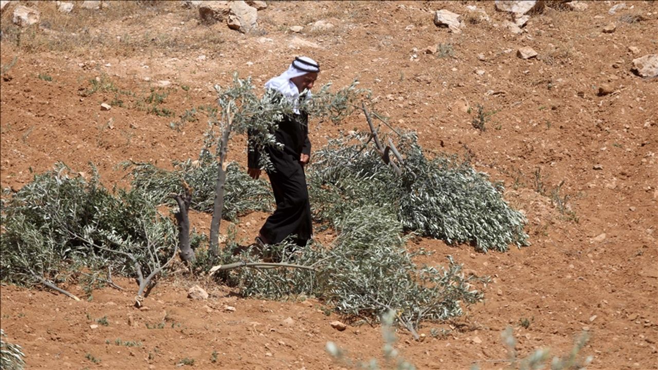 İsrail'in toprak gaspı Filistin ekonomisini vuruyor