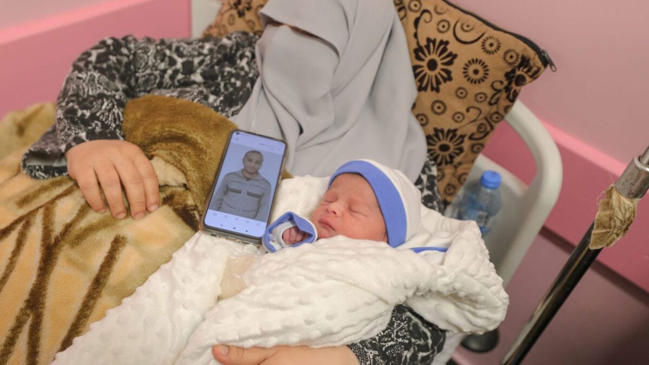 Filistin'de günde kaç bebek doğuyor?