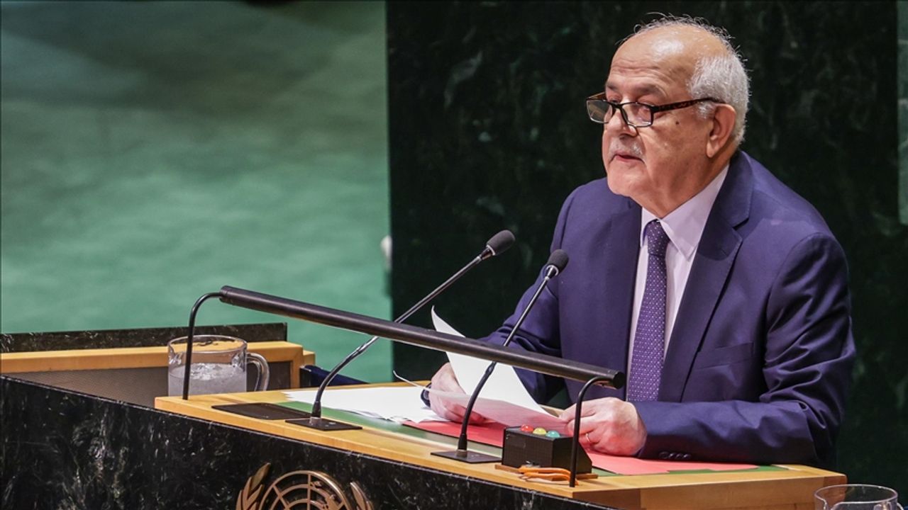 Filistin BM Daimi Temsilcisi: Bu savaşı bir an önce durdurmanız gerekiyor!