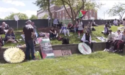 Texas Üniversitesindeki İsrail karşıtı protestoda gözaltına alınan kişi sayısı 34'e yükseldi