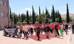 Kilis'te üniversite öğrencileri ve akademisyenleri Filistin için yürüdü