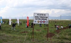 Erzurum'da "Filistin ve Doğu Türkistan Hatıra Ormanı" oluşturuldu