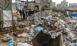 Gazze, yakın tarihin en büyük ekokırımına sahne oluyor