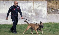 İHH arama kurtarma köpeği ve eğitmeni 122 arama timi arasında 1. oldu