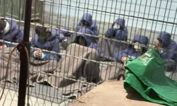 İsrail askeri itiraf etti: Sde Teiman'da Filistinlilere anestezisiz cerrahi işkence!