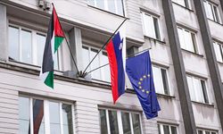 Slovenya'ya giden işgalci hakkında suç duyurusunda bulunuldu