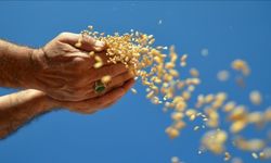 ABD’de gıda krizi: 40 milyon kişiye ödeme yapılmayacak