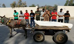 Almanya, Gazze'den yaralı insan yerine 4 eşeği kabul etti!