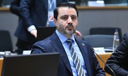 Şeybani: Suriye'nin mezhepsel sorunu yok!