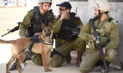 İsrail askerleri kuduz oldu: 27 asker tedavi altında