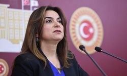 DEM partili vekilden "LGBT'li çocuk" çıkışı!