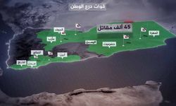 Yemen'de kriz: Hadhramaut'tan Mahra'ya gerilim hattı