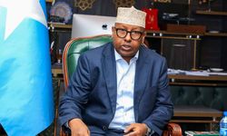 Somali'den BAE'ye tokat, İsrail'in planı ifşa