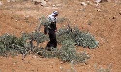 İsrail'in toprak gaspı Filistin ekonomisini vuruyor