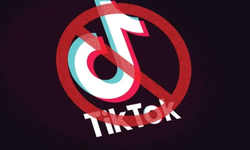 Kırgızistan, çocukların gelişimini olumsuz etkilediği gerekçesiyle, TikTok'u yasakladı