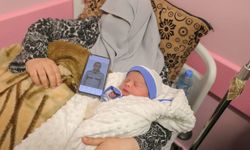 Filistin'de günde kaç bebek doğuyor?