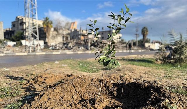 Yerleşimci kolonyalizmin silahları: Bir işgal yöntemi olarak yeşil ormanlar ekolojisi
