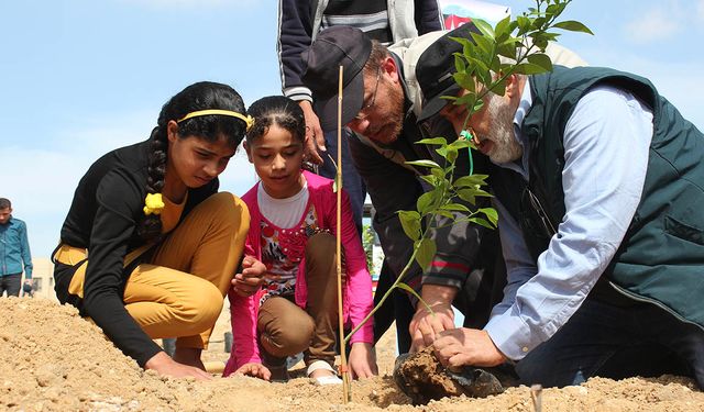 İHH yetimler için 160 bin fidan dikti