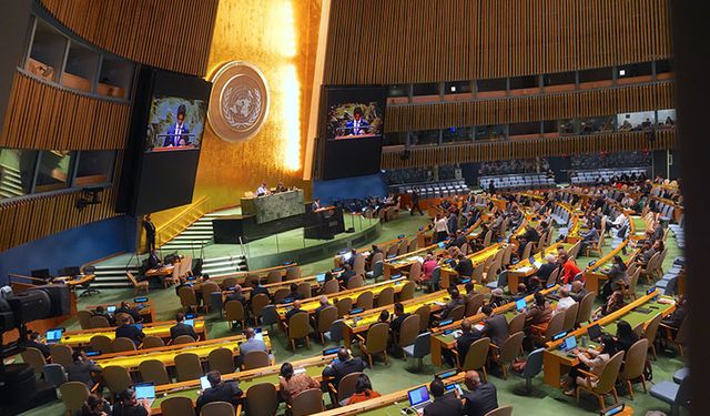 İsrail'in BM'den ihraç edilmesi talep ediliyor