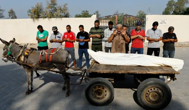 Almanya, Gazze'den yaralı insan yerine 4 eşeği kabul etti!