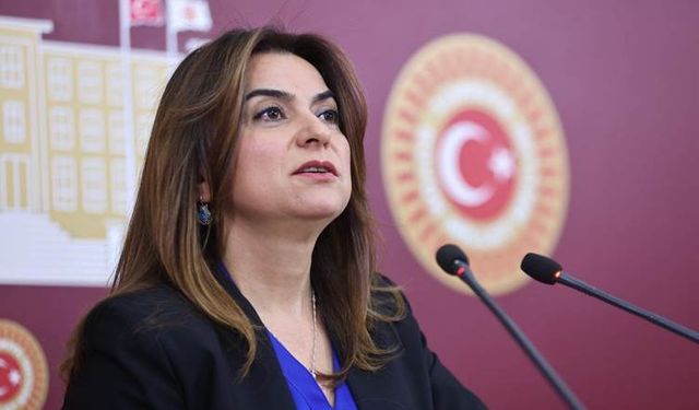 DEM partili vekilden "LGBT'li çocuk" çıkışı!